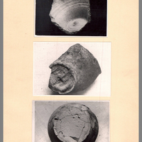 Holl100_097.jpg